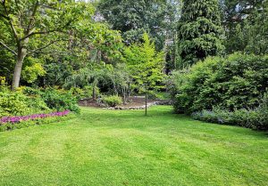 Optimiser l'expérience du jardin à Saint-Fargeau-Ponthierry